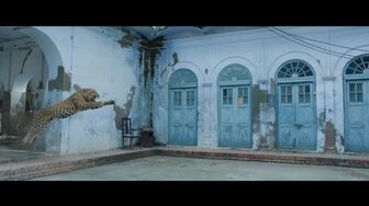 Cloudy.pk - Pati Patni Aur Woh Do 2026 Hindi HD NF
